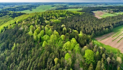 Sticker - aerial view over forest at spring