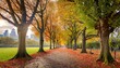 tree lined autumn scene in greenwich park london