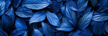 Exotic Tropical Leaves Background With Blue  Hawaiian Plants And Flowers. 