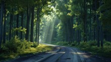 A Painting Of A Dirt Road In The Middle Of A Forest With Sunlight Streaming Through The Trees On Either Side Of The Road Is A Dirt Road That Runs Through The Center Of The Forest.