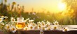 Chamomile tea and daisies composition on defocused background with space for text placement