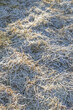 Umweltfreundlicher anti-rutsch Belag: Detail eines beschneiten Wegs aus Strohmist im Winter, damit man nicht auf Glatteis ausrutscht