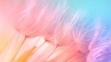 Dandelion Fluff With Pastel Rainbow Colors. Abstract Colorful Background. Concept Of Delicate Beautiful Backdrop, Serene And Calmness, Dandelion Seeds