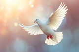 Fototapeta  - a dove in mid-flight, bathed in ethereal light