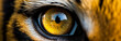 portrait of tiger with yellow eyes close up