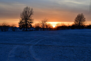 Canvas Print - Snowy Sunset Field