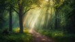 © Anna - a dirt road in the middle of a forest with sunbeams shining through the trees on the other side of the road is a dirt path in the foreground.