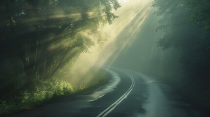 Sticker -  a road in the middle of a forest with sunbeams shining down on the road and trees on both sides of the road, with the sunbeams shining down on the road.