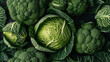  a close up of a head of broccoli surrounded by other heads of broccoli on a black surface with green leaves on the top of the head.