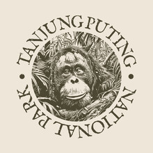 Tanjung Puting, Kalimantan, Indonesia Illustration Clip Art Design Shape. National Park Vintage Icon Vector Stamp.