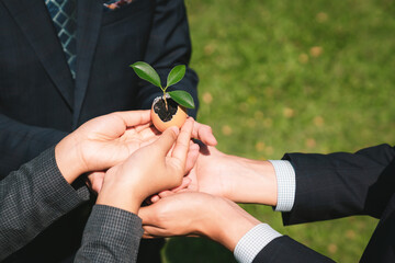 Group of business people holding repuposed eggshell transformed into fertilizer pot, symbolizing commitment to nurture and grow sprout or baby plant as part of a corporate reforestation project. Gyre