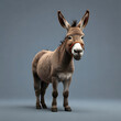 Minimalist Donkey