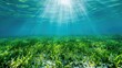 An underwater view reveals a seabed group flourishing with green seagrass, Ai Generated.