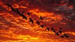 A flock of migratory birds in a V-formation, photographed from above against the backdrop of a fiery sunset, illustrating the harmony and coordination of avian teamwork.