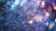 Calm, soothing shades of lavender and soft blue in an abstract blurry background, with peaceful, defocused lights.