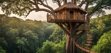  A Tree House In The Middle Of A Forest With A Spiral Staircase Going Up The Side Of The Tree To The Upper Level Of The Treetop Of The Tree.