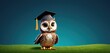  an owl wearing a graduation cap sitting on top of a green grass covered field with a blue sky in the background and a blue sky in the middle of the background.