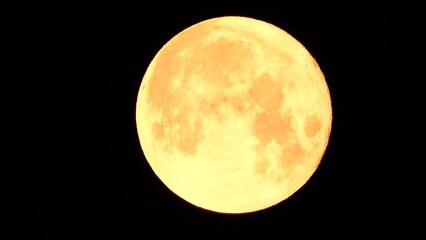 Wall Mural - A glowing golden huge full moon seen from earth through the atmosphere against a starry night sky. A large full moon moves across the sky, the moon moving from the left frame to the right.