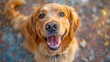 golden retriever portrait, a friendly Golden Retriever joyfully greeting its owner with a wagging tail and a big smile, showcasing its loving and sociable nature