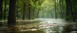 Heavy rain in the forest can lead to flooding due to pooling, overflowing rivers, and runoffs.