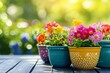 Many different beautiful blooming plants in colorful flowerpots on wooden bench outdoors