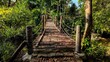 A tranquil wooden rope suspension bridge nestled in a lush green tropical forest setting  Earth Day concept