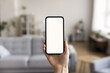 © fizkes - Close up shot of unknown female hand holding modern smartphone with white mock up blank screen, living room on background. Advertisement of new mobile application ad, smart home app, comfort living