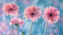  A Group Of Three Pink Flowers Sitting On Top Of A Blue And Pink Flower Vase On Top Of A Blue And Pink Flower Vase On Top Of A Blue And Pink Background.
