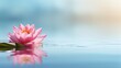 © Voilla - Beautiful lotus flower on the water with copy space for background