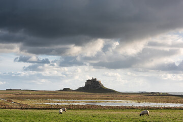 Wall Mural - Stunning dramatic landscape image of Lindisfarne, Holy Island in Northumberland England during Winter