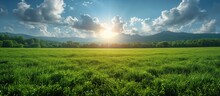 Beautiful Spring Landscape Green Meadow At Sunrise