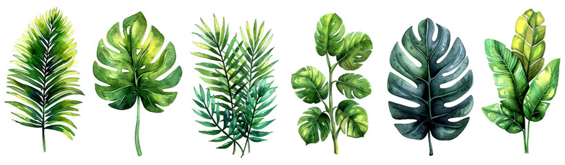  Watercolor painting of seven diverse, vibrant tropical leaves, illustrated on a white background