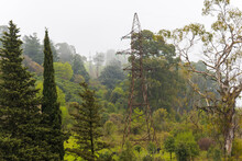 View Of Old Rusty Power Lines Pylons In Mountainous Area Covered With Tropical Forest At Misty Day