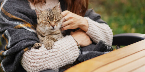 Wall Mural - Portrait of a beautiful gray cat sitting in the arms of woman owner in a warm sweater