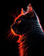 Silhouette einer Katze vor einem schwarzen Hintergrund, harte Lichtkante, schöne Katze