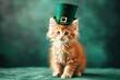 Cute little kitty wearing a leprechaun hat. Saint Patrick's Day theme concept. Cat and St. Patricks day with green background, Irish holiday.