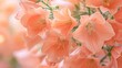 Light peach-leaved bellflowers on a bokeh background with soft light - AI Generated Abstract Art