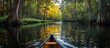 Canoeing through pretty river in Cypress Forest.