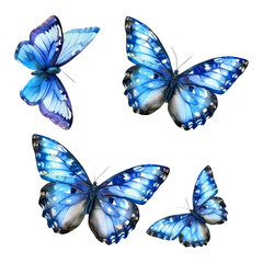 Aufkleber - blue tropical butterflies moths for design