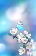 Wall Mural - blossom tree over nature background with butterfly. spring flowers. spring background.
