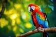 A scarlet macaw sitting on a branch. a representative of a large group of neotropical parrots called macaws