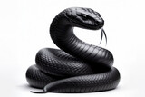 Black Mamba snake isolated on solid white background. ai generative
