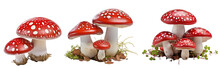 Collection Of Red And White Mushrooms Isolated On Transparent Or White Background
