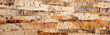 birch bark strips arranged in a lengthwise horizontal arrangement in a nature-themed background