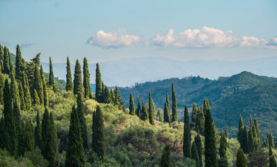 Mediterranean typical landscape. mountainous agriculture hill with blue sky. Corfu Greece