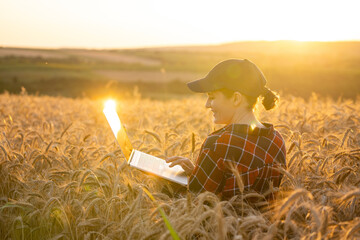 Aufkleber - Woman farmer working with laptop on wheat field. Smart farming and digital agriculture