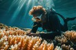 Indian coral reef researcher studying
