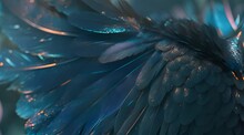 A Close Up Of A Blue And Black Bird's Feathers
