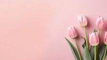 Beautiful Bunch Of Pink Tulips Flowers On Decent Pastel Rose Background - The Background Offers Lots Of Space For Text