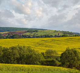 Wall Mural - spring countryside view with rapeseed yellow blooming fields, groves, hills. ukraine, lviv region.